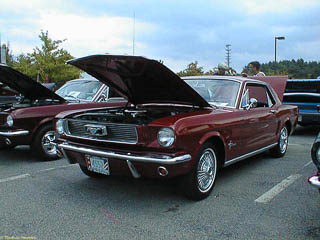 1966 Mustang with Sprint package. Note that the rear fender panel does not any trim.